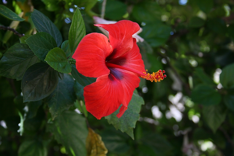 Rodos 2007 041